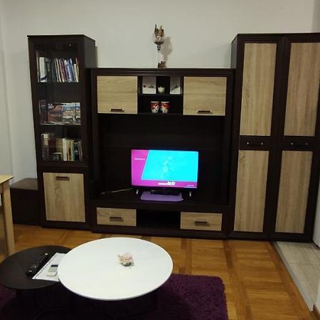 Apartman Bulevar 노비사드 외부 사진